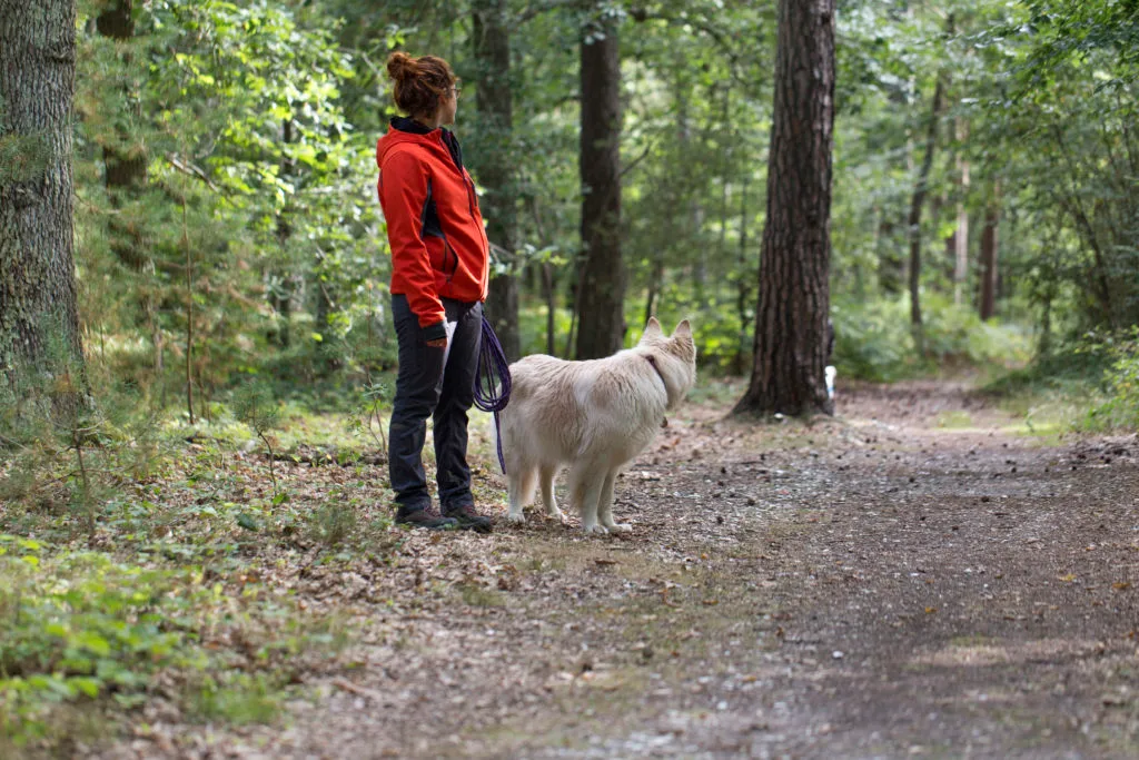 Dog Faculty - Une histoire d’émotions