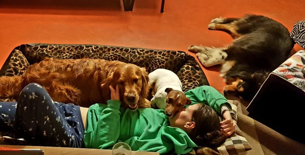 Dog Faculty - notion de partage