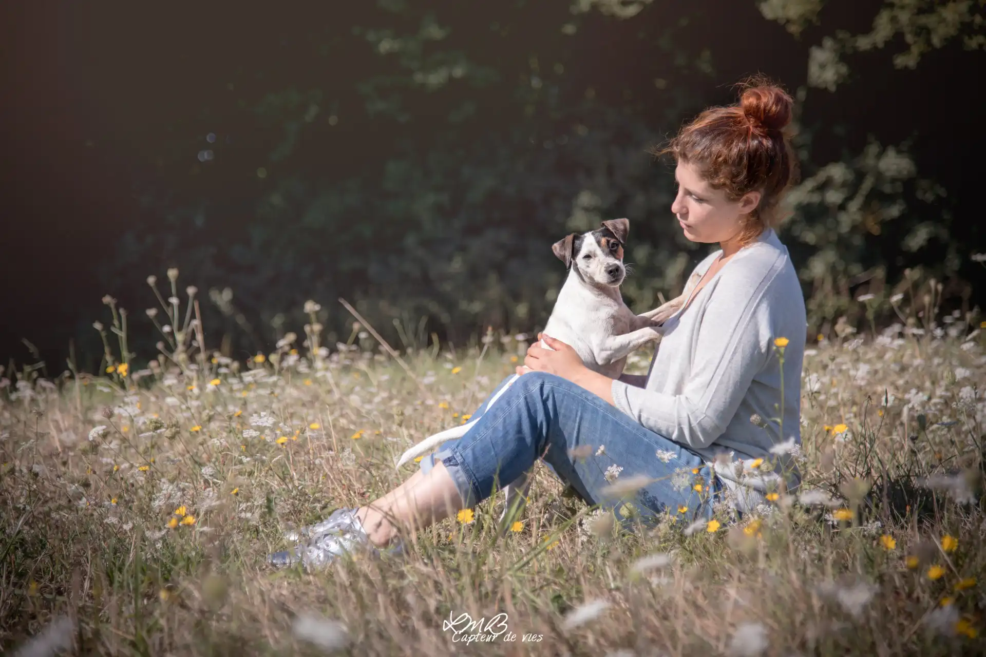 Dog Faculty - Ici, pas de spectaculaire.