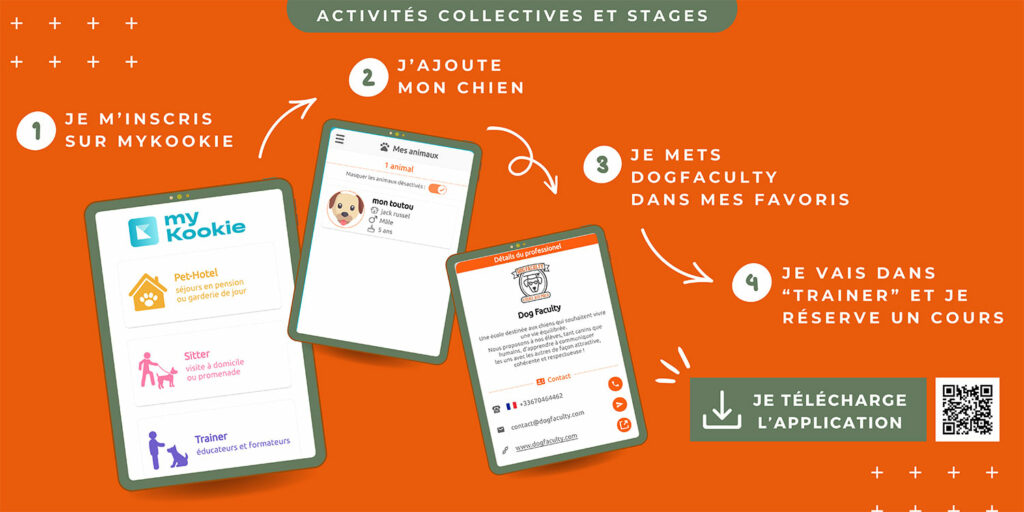 DogFactulty est sur MyKookie. Inscription gratuite pour réserver votre stage ou vos activités collective.