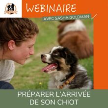 Dog Faculty - Webinaire Préparer l'arrivée de son chiot