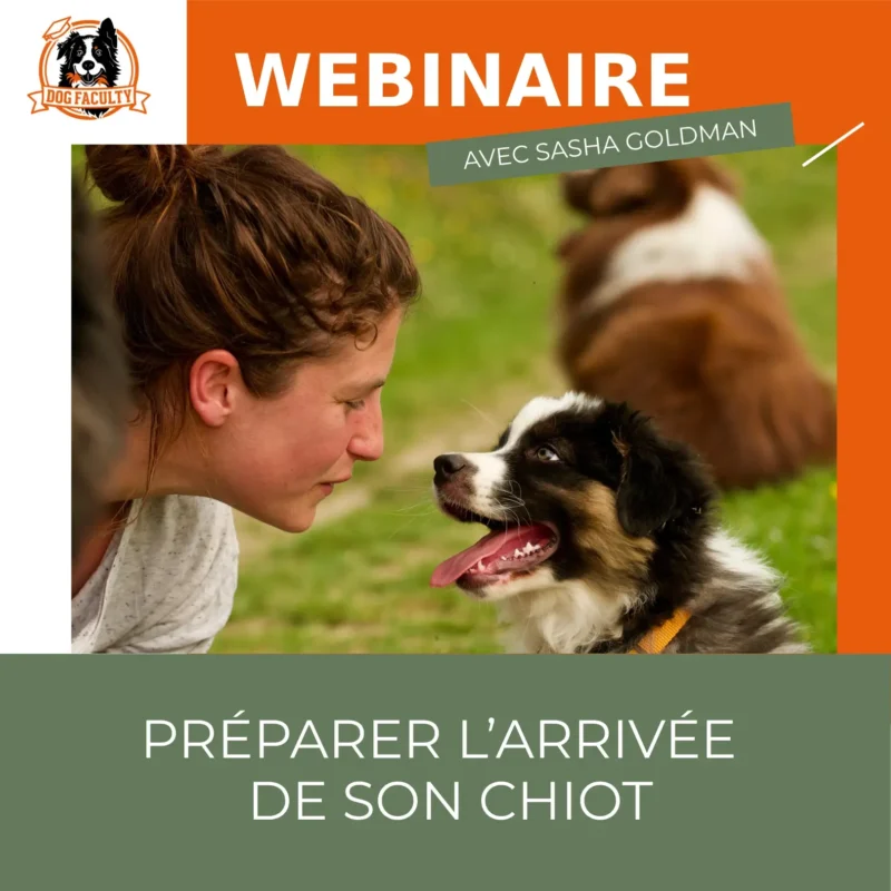 Webinaire enregistré Préparer l’arrivée de son chiot - Dog Faculty éducation canine